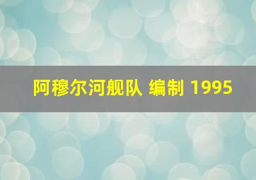 阿穆尔河舰队 编制 1995